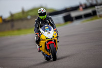 PJ-Motorsport-2019;anglesey-no-limits-trackday;anglesey-photographs;anglesey-trackday-photographs;enduro-digital-images;event-digital-images;eventdigitalimages;no-limits-trackdays;peter-wileman-photography;racing-digital-images;trac-mon;trackday-digital-images;trackday-photos;ty-croes